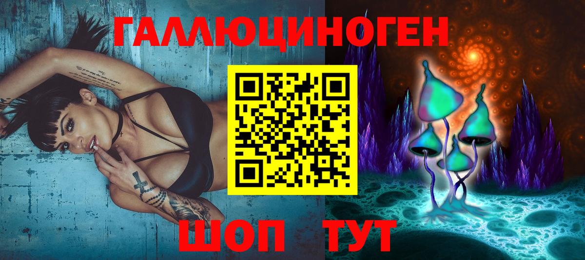 Кудымкар  Псилоцибиновые грибы GOLDEN TEACHER  Вход с VPN  Галлюциногенные грибы мухоморы 